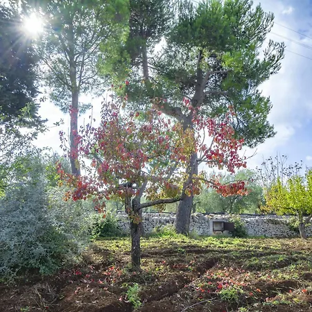 Trulli Santa Lucia Ai Monti Villa *
