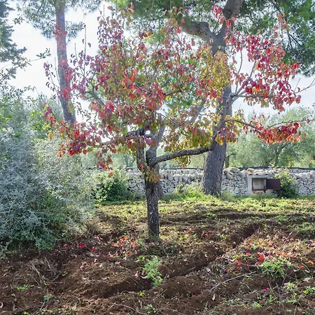 Villa Trulli Santa Lucia Ai Monti *